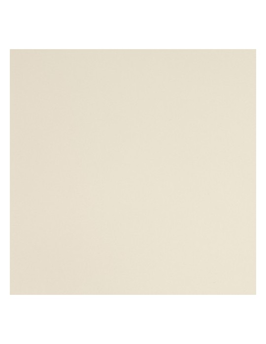 S5GBEB - Gris Beige Brillant